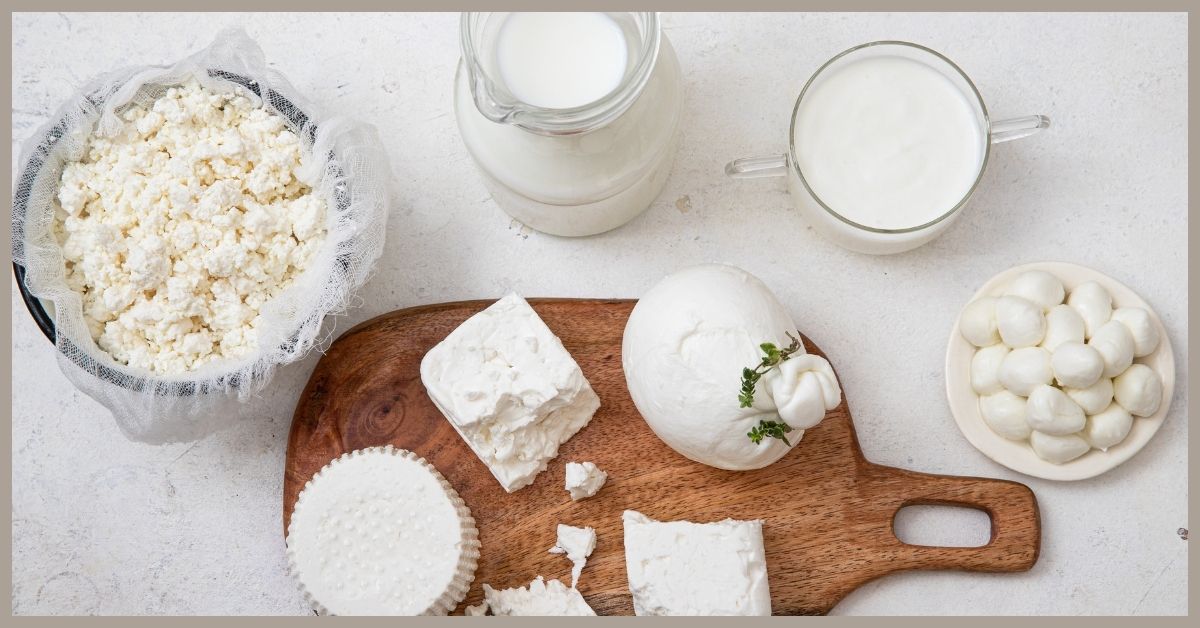 Bacillus Cereus Dairy Contamination