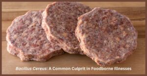 B.cereus-food-poisoning